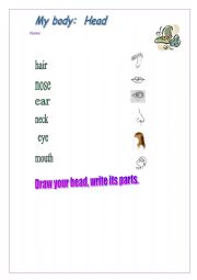 English worksheet: Parts of the body: Head