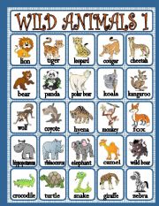 wild animals 1