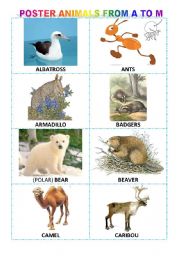 English Worksheet: Alphabetical poster of animals from A to M + exercises + game