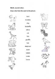 English Worksheet: matchin animals