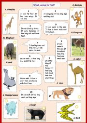 animals adjectives