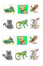 English Worksheet: Animals