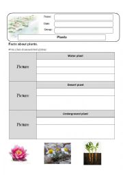 English Worksheet: Plants1