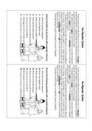 English Worksheet: health