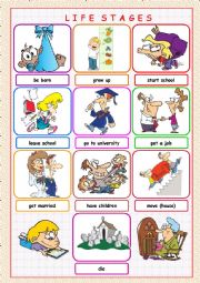 English Worksheet: Life Stages Picture Dictionary