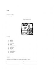 English Worksheet: The Verb To be