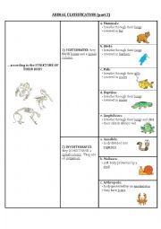 Animal classification (part 2)