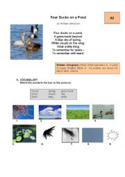 English Worksheet:  poem Four Ducks on a Pond by William Allingham