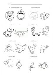 English Worksheet: ANIMALs