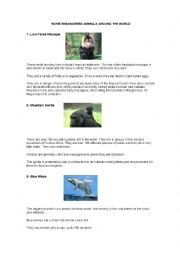 English Worksheet: Endangered animals