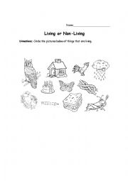 English Worksheet: living or non living