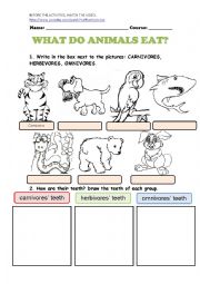 English Worksheet: WHAT DO ANIMALS EAT