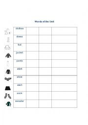 English Worksheet: Vocabulary