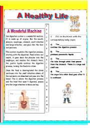 English Worksheet: the digestive system- a wondeful machine