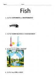English Worksheet: Fish worksheet