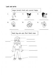 English Worksheet: Look and write