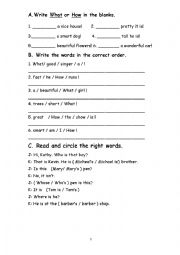 English Worksheet: How and What