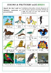 BIRD IDIOMS AND PROVERBS (+ key and explanations)
