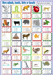 more animals beasts and birds:multiple choice activity