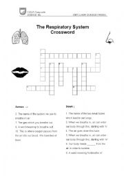 Respiratory System Crossword