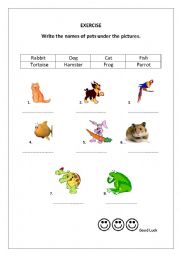 English Worksheet: Pets matching activity
