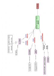 English Worksheet: Modals: have to - must