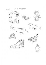 English Worksheet: Polar Animals