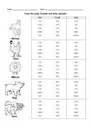 Baby animals worksheets