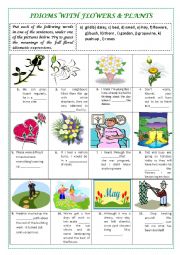 IDIOMS with FLOWERS & PLANTS (plus key and explanations)