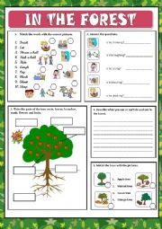 English Worksheet: IN THE FOREST 2