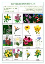 English Worksheet: FLOWERS PICTIONARY A- D (part I)