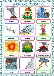 Natural Disasters Picture Dictionary