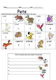 Pets worksheets