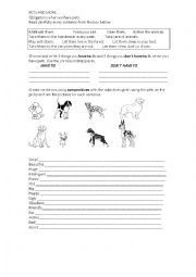 English Worksheet: Pets and more