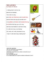 Mr Ladybug (a funny poem about housework)
