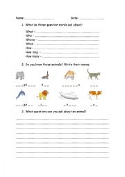 English Worksheet: Does questions