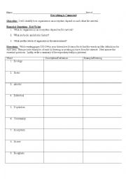 English Worksheet: Biomes - Everything is Connected