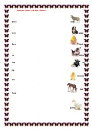 English Worksheet: Animals and their children