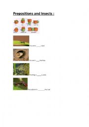 English Worksheet: Prepositions and insects
