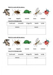 English Worksheet: animals & insects