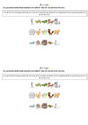 English Worksheet: Animals