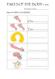 English Worksheet: Parts of the body - TEST - part 2
