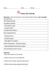 English Worksheet: Animal Cell coloring guide