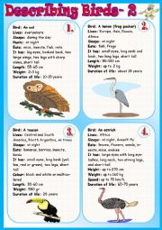 Describing Birds 2