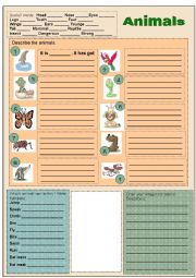 Animals: looks and abilities - ESL worksheet by Vaillance