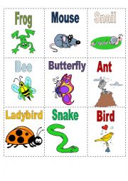 English Worksheet: Mini Book Colored Animals part2
