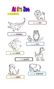 English Worksheet: animals an / an