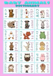 BABY ANIMALS - pictionary