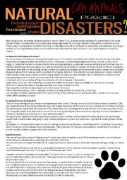 Can animals predict natural disasters? (reading test,4 pages with answer key)