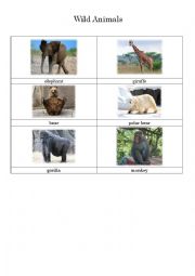 English Worksheet: Wild Animals